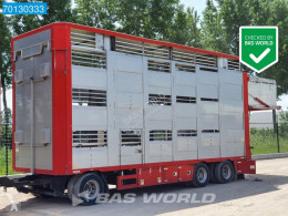Lastbil med släp DAF XF105 .460 Manual SSC Berdex Livestock Cattle Transport uppfödning av nötkreatur begagnad