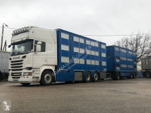 Scania R 580 tractor-trailer used cattle