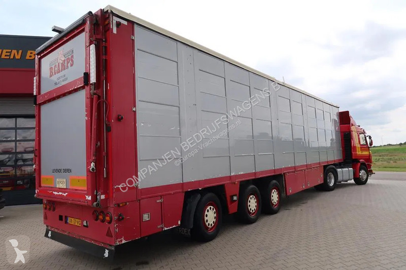 نصف مقطورة Berdex OS 12.27 Pig transport - 3...