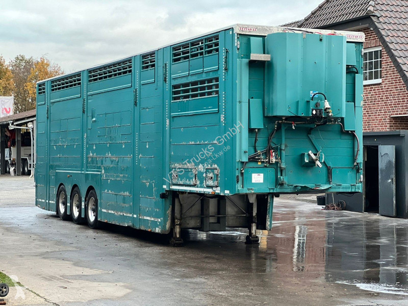 Náves Pezzaioli 3.Stock Cattle-Cruiser...