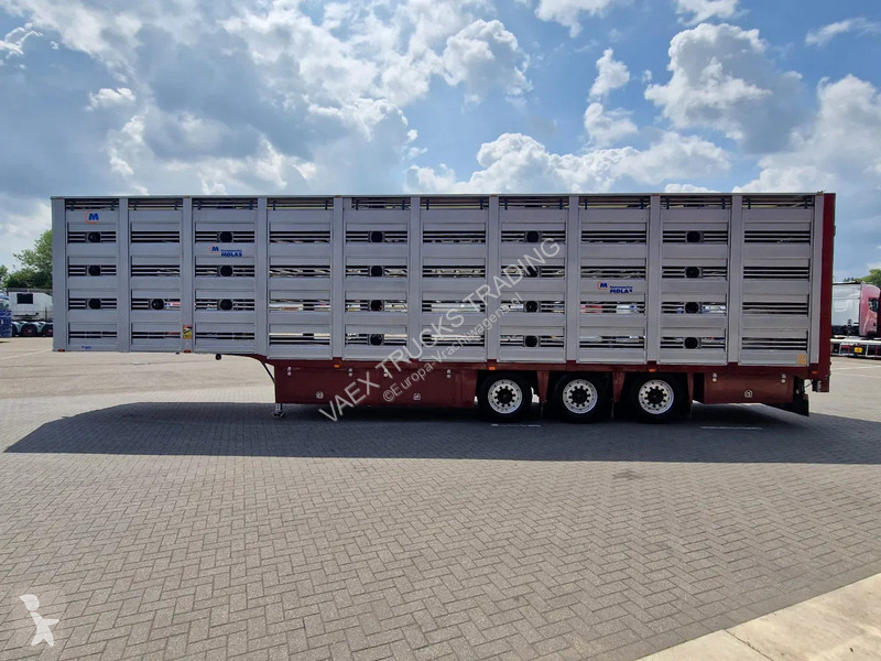 Semiremorca  5 deck livestock trailer - Water &...