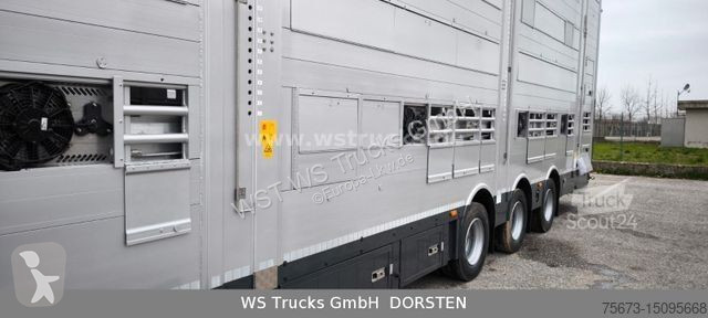Sættevogn  SBA31-SR  3 Stock 