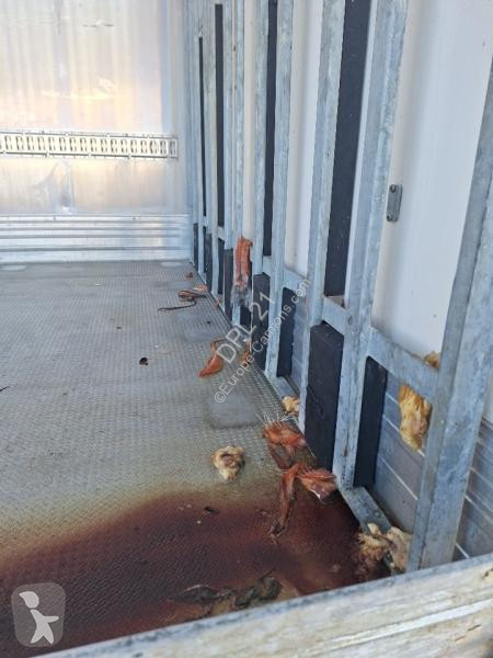 Semirimorchio Chereau THERMO KING CSD3