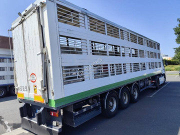 نصف مقطورة ناقلة خنازير GT Trailers
