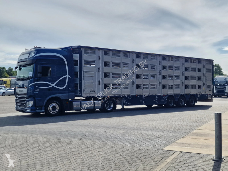 Semirremolque Pezzaioli + Daf XF - 3/4 deck...