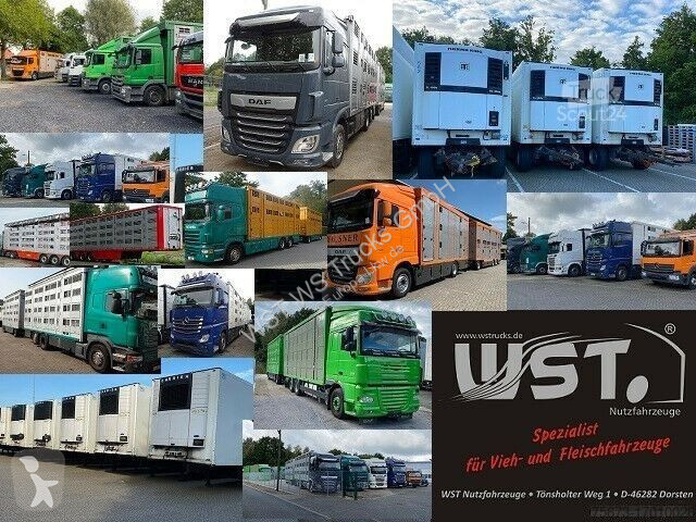 Semitrailer Krone Kühlauflieger Carrier Vector...