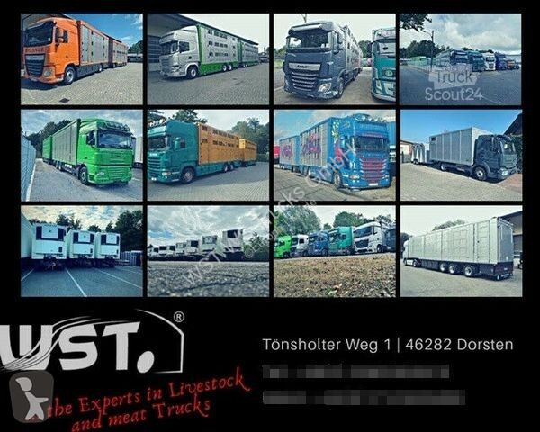 Semitrailer Krone Kühlauflieger Carrier Vector...