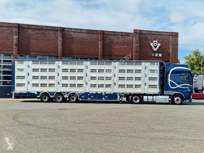 Semirremolque Pezzaioli + Daf XF - 3/4 deck...