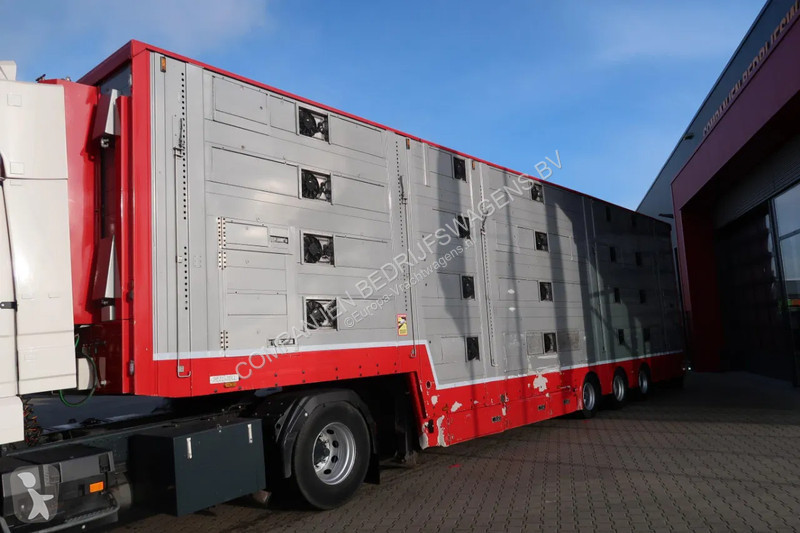 نصف مقطورة Pezzaioli SBA 31 - Cattle transport...
