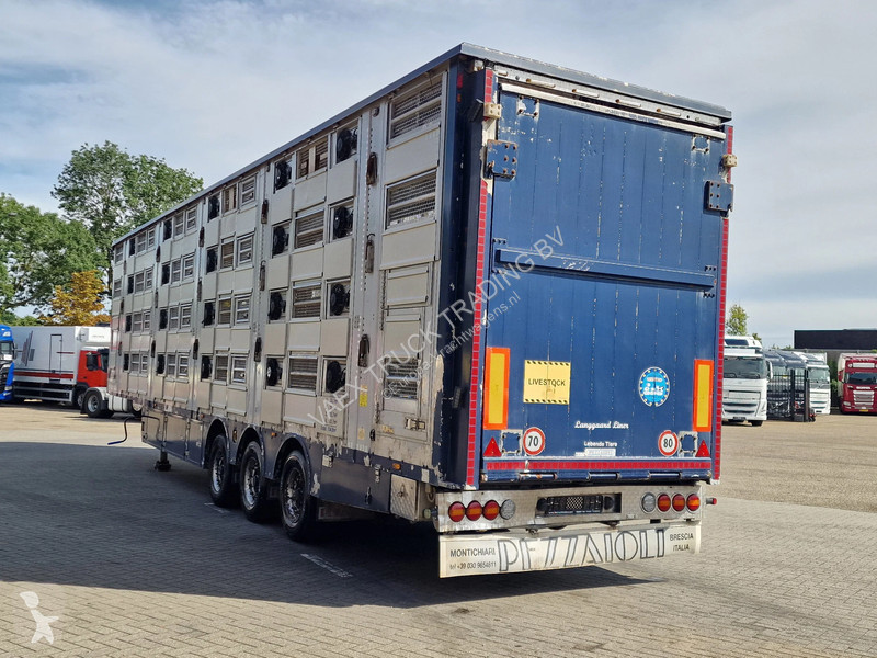 Semirremolque Pezzaioli + Daf XF - 3/4 deck...