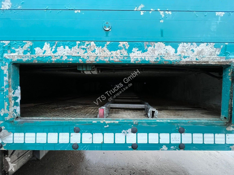 Náves Pezzaioli 3.Stock Cattle-Cruiser...