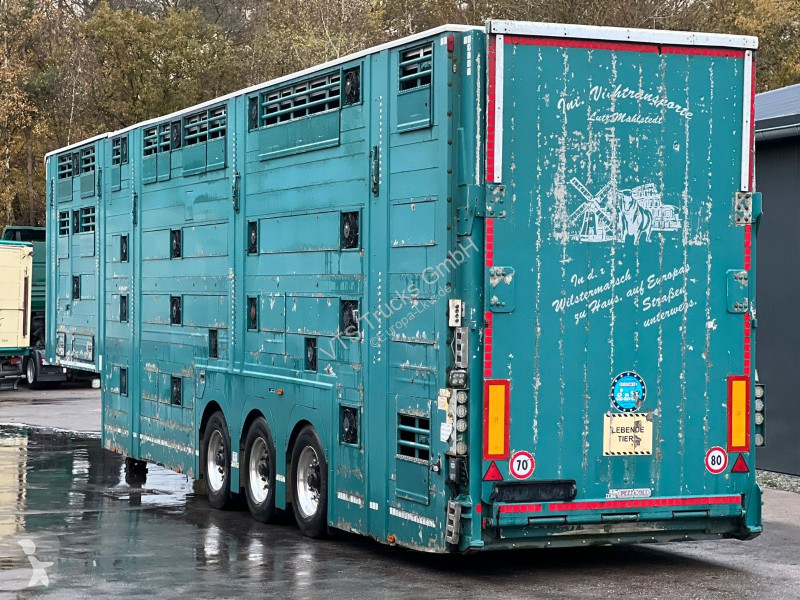 Náves Pezzaioli 3.Stock Cattle-Cruiser...