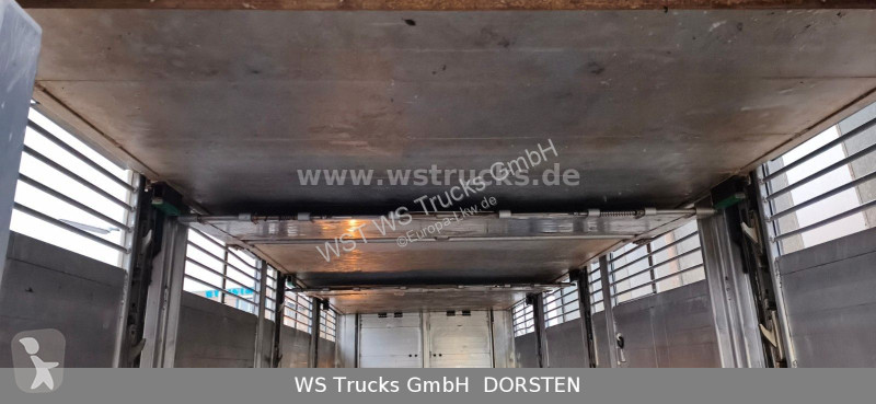 مقطورة  KABA 3 Stock  Hubdach Viehanhänger