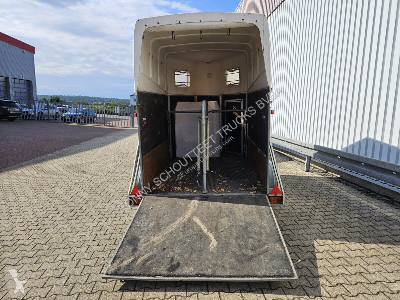 مقطورة Blomert T2BPA Pferdeanhänger T2BPA...
