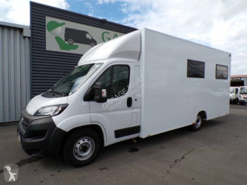 FiatDucato