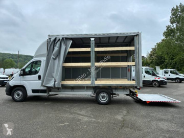 FiatDucato