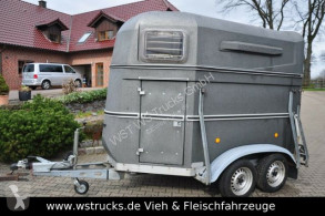 westfalia van chevaux