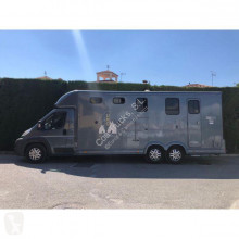 Van à chevaux Fiat Ducato