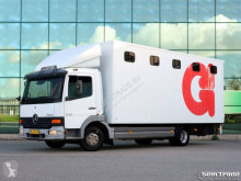 Camion Mercedes Atego 815