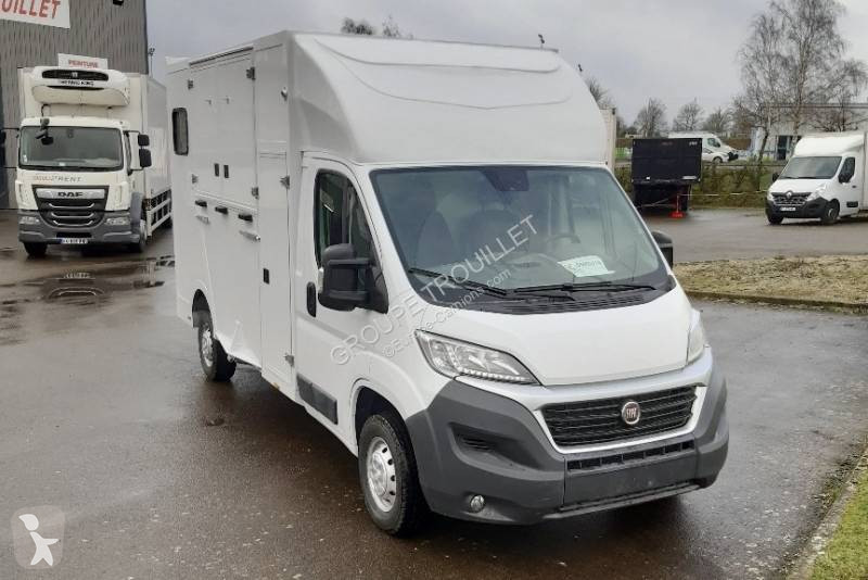 looking for a used van