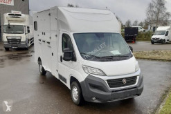 Van à chevaux Fiat Ducato 150 MJT