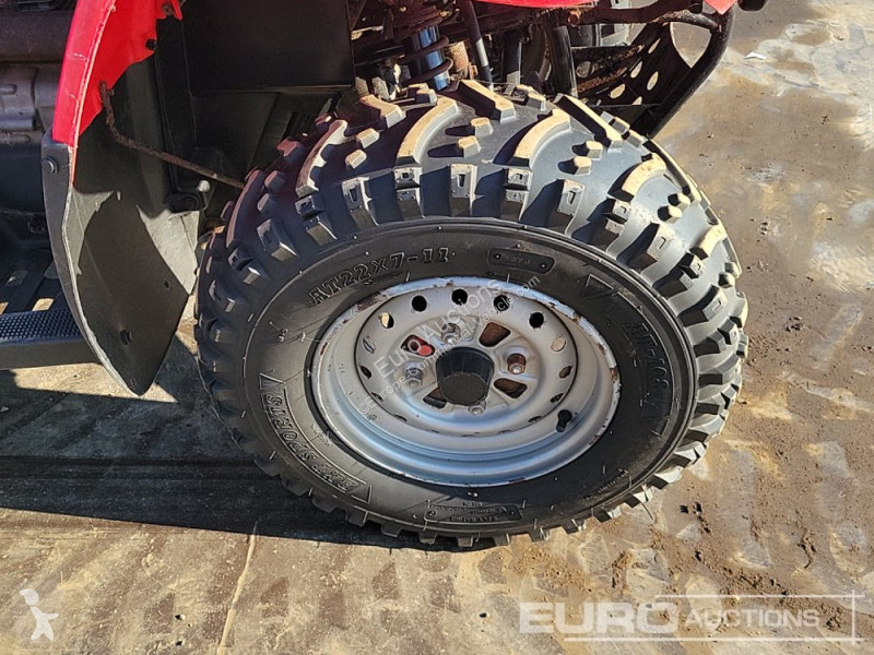 Veicolo commerciale  TRX250TE