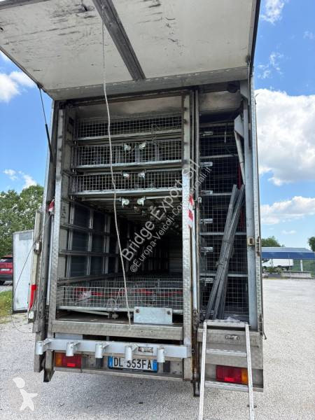 Furgoneta Iveco