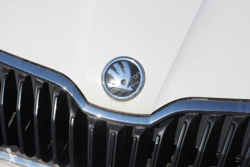 Furgoneta Skoda