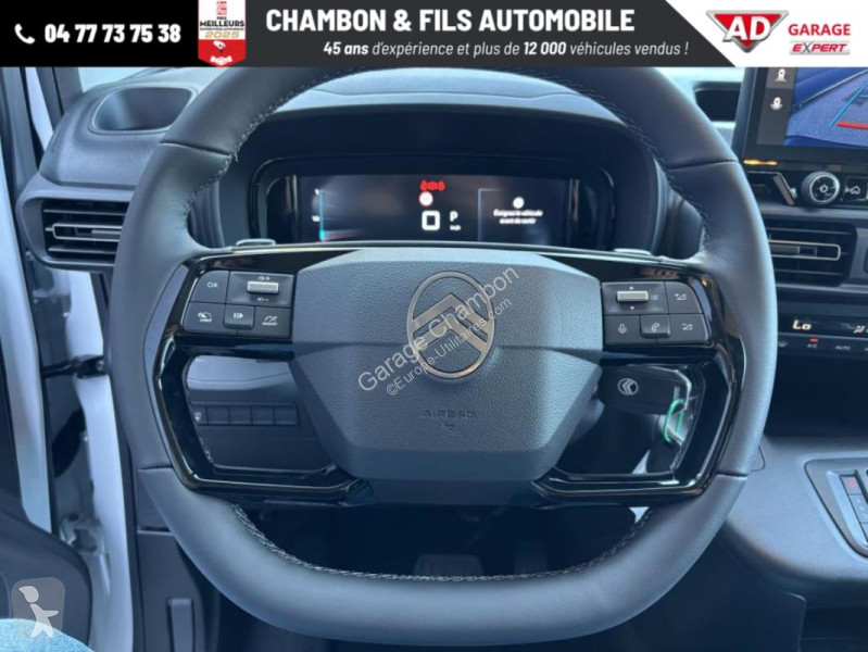 Diesel 130 ch M Automatique Max sans malus van
