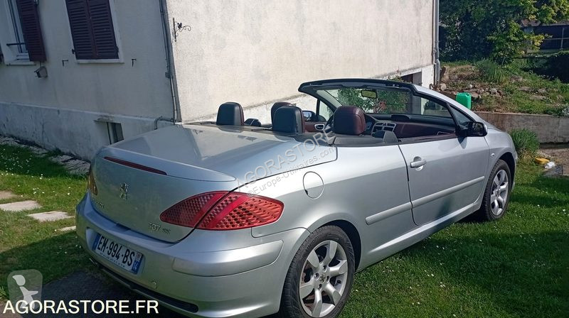 Véhicule utilitaire Peugeot 307