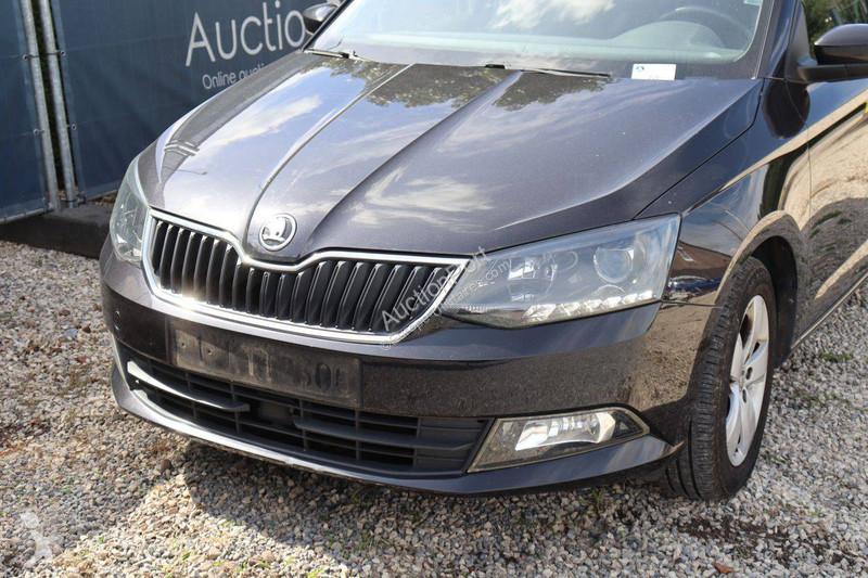 Furgoneta Skoda