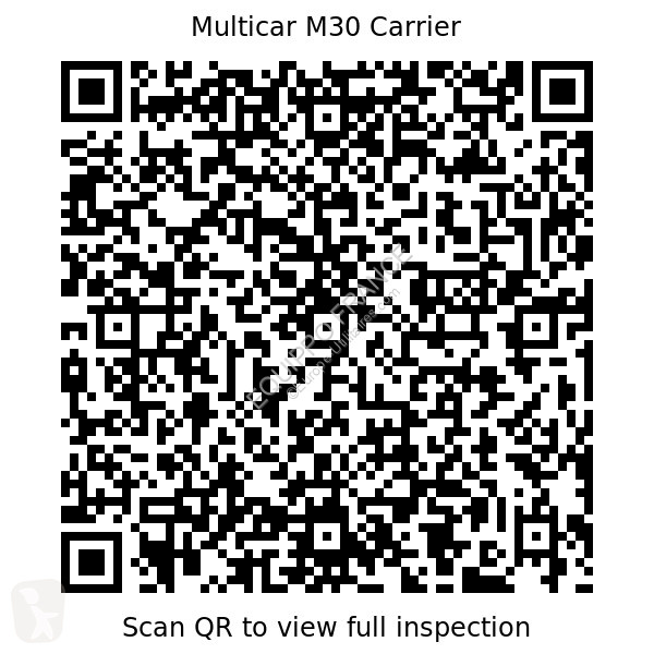 Véhicule utilitaire Multicar M30 Carrier