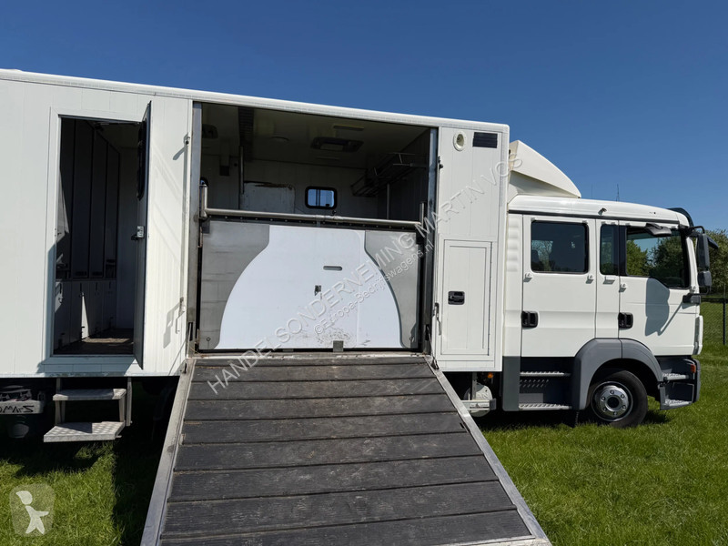 عربة نفعية MAN TGL 12.180 PAARDENWAGEN. TGL 12.180