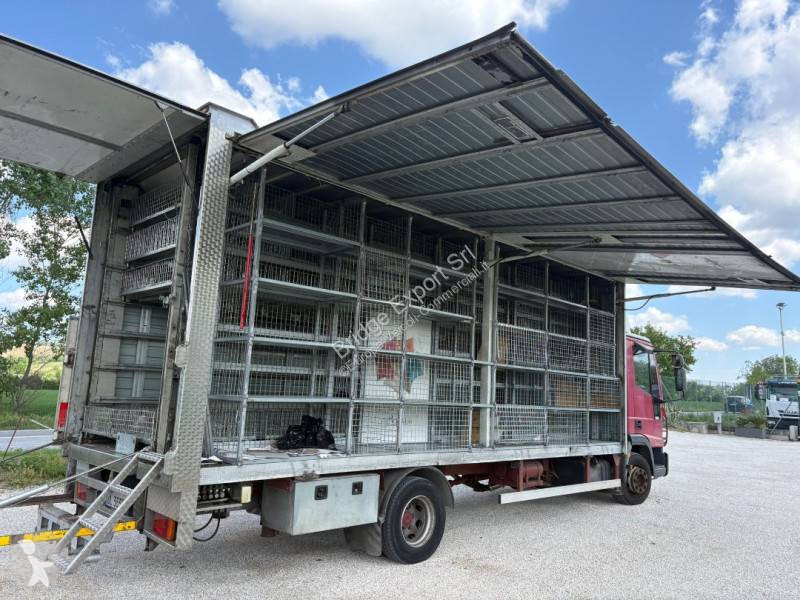 Furgoneta Iveco