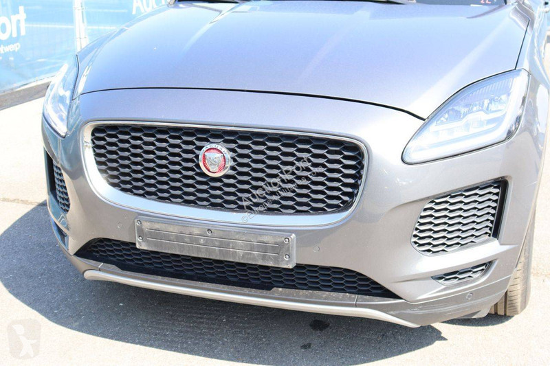 Jaguar  Transporter