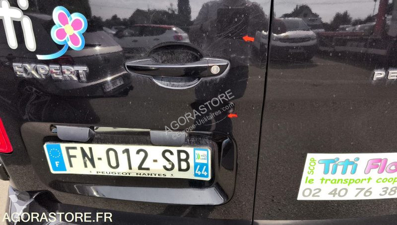 Furgoneta Peugeot EXPERT