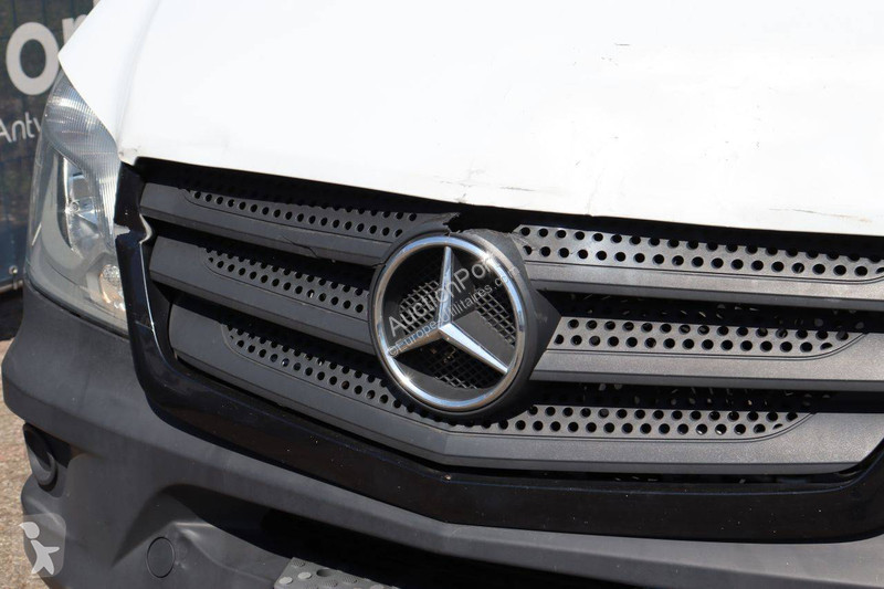 Véhicule utilitaire Mercedes 313 CDI