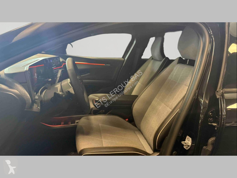 Véhicule utilitaire Renault MEGANE E-TECH