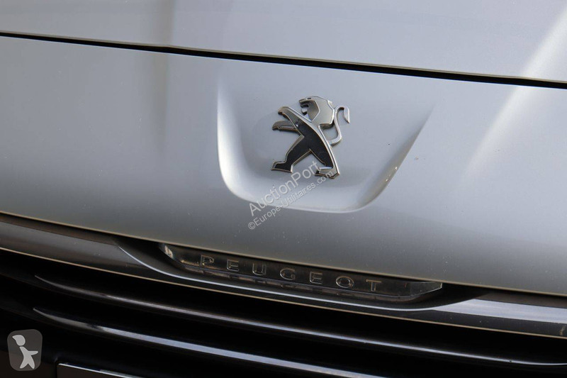 Furgoneta Peugeot Hatchback