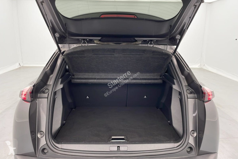 Véhicule utilitaire Peugeot BUSINESS
