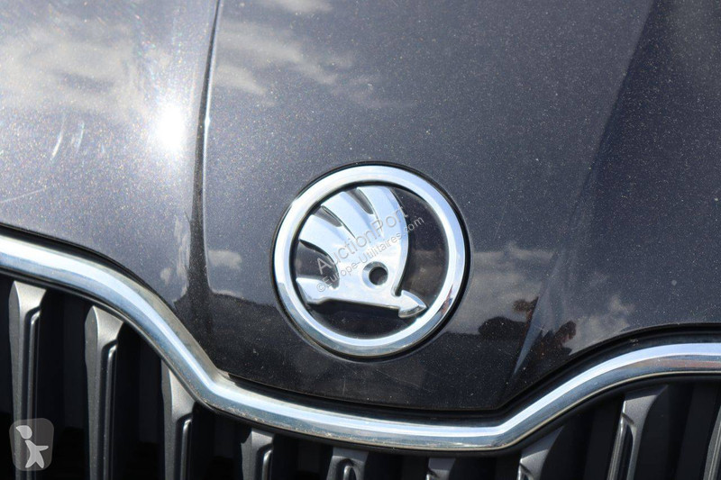 Furgoneta Skoda