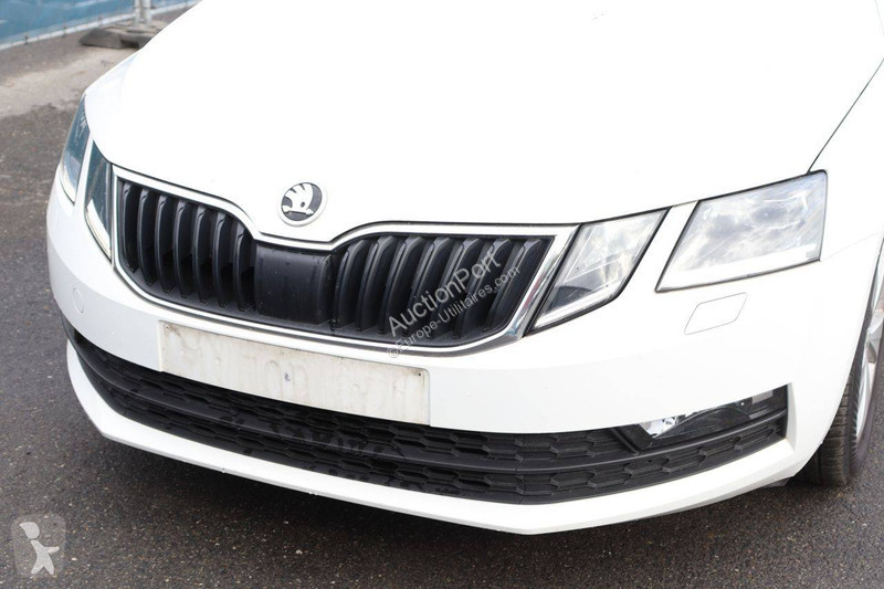 Furgoneta Skoda