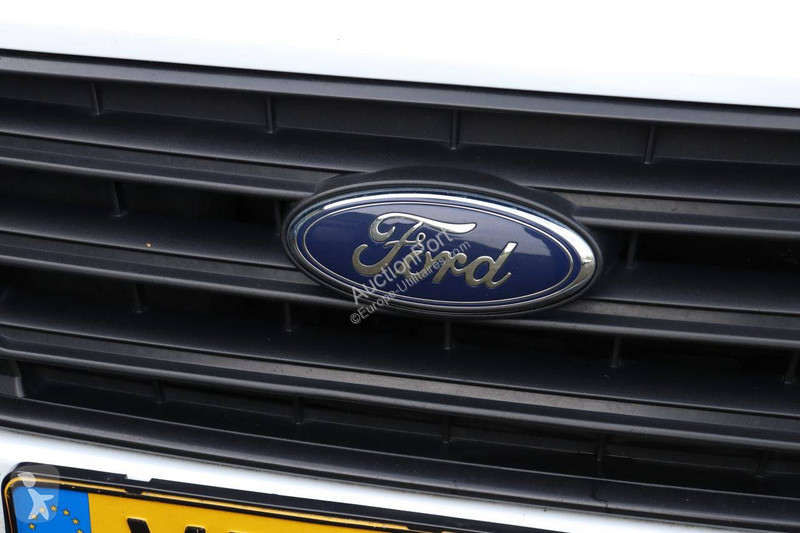 Furgoneta Ford