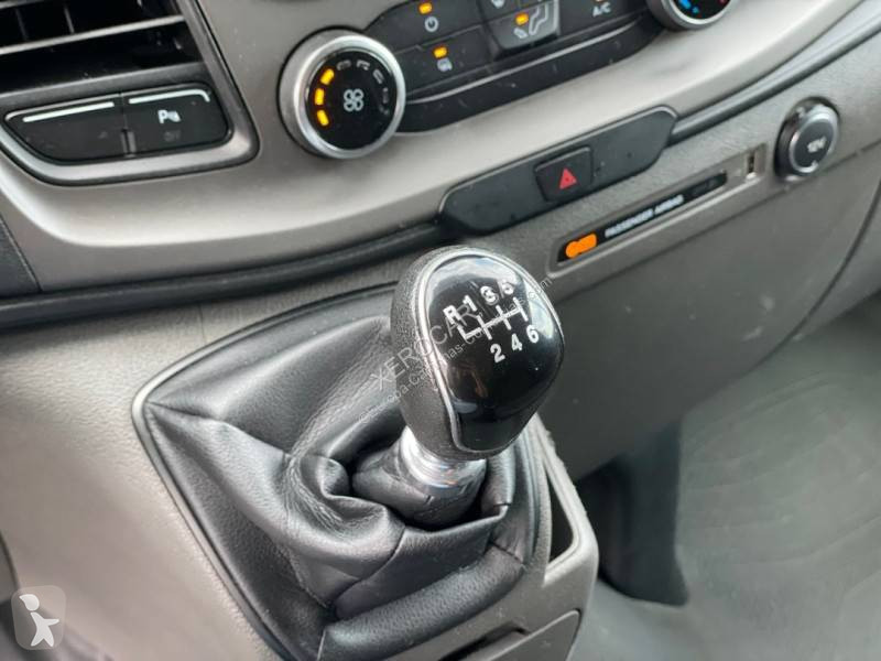 Furgoneta Ford