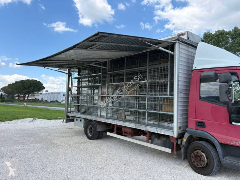 Furgoneta Iveco