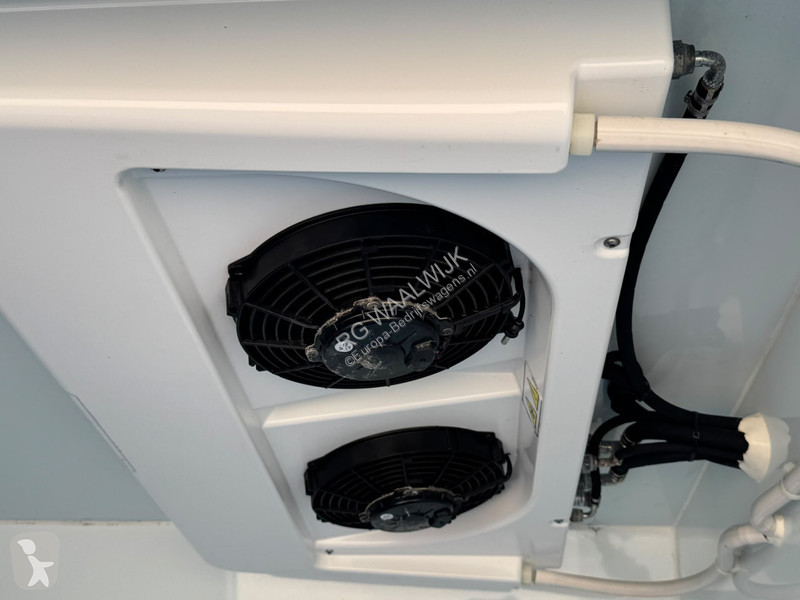 Furgoneta Renault -/- 20 °C Thermo King