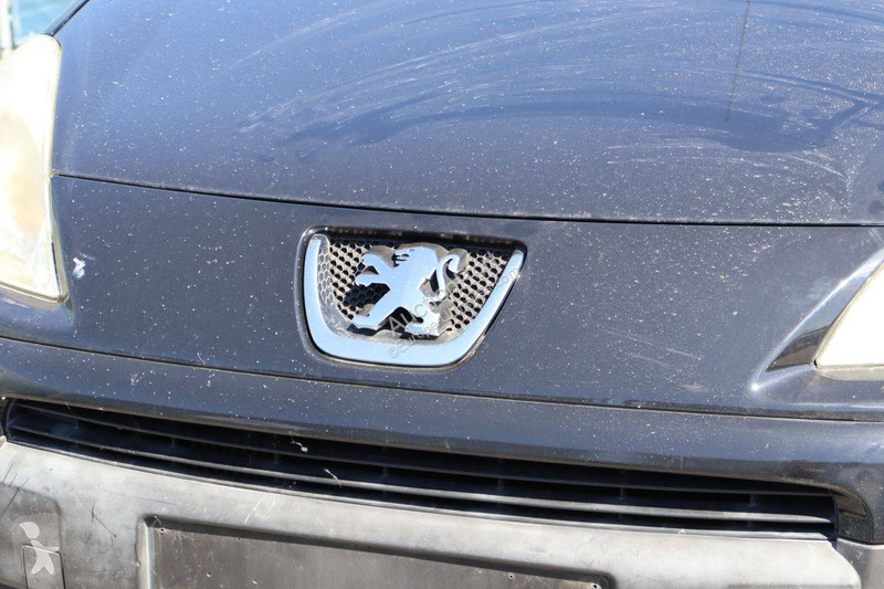 Furgoneta Peugeot