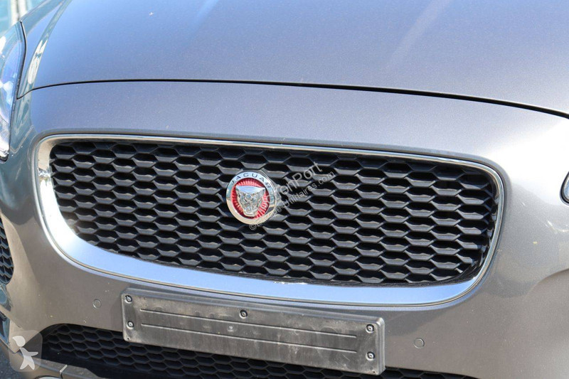 Jaguar  Transporter