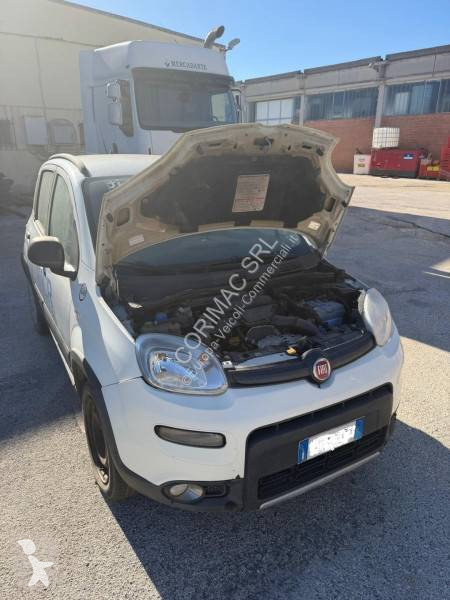 Furgoneta Fiat