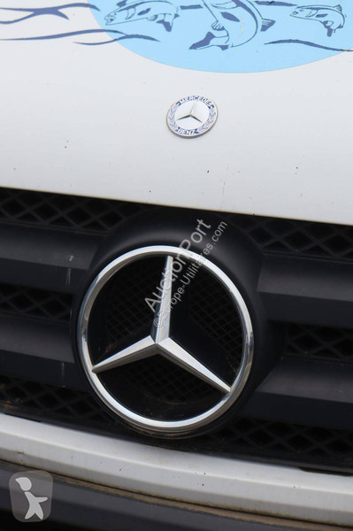 Furgoneta Mercedes 315 CDI